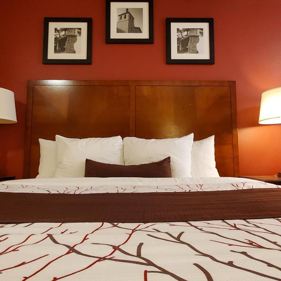 Motel Apple 2*